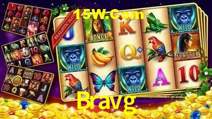 Interface moderna da plataforma Bravg